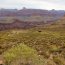 <a href='./uloz.php?foto=2025'><img title='uložit tuto fotku [102 kB]' border=0 src='./images/ikony/save.svg' class='ikonasvg5' alt='uložit fotografii'></a> <span class=misto_lb>Grand Canyon National Park</span> <span class=datum_lb>[Califorina, Arizona, Nevada | 28. 6. – 11. 7. 2008]</span>