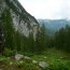 Tier Garten - 1 480 m