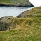 Odtud vede lanovka na Dursey Island Odtud vede lanovka na Dursey Island