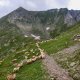 Zácpa do sedla pod Mircii (2470 m) - špička vlevo Zácpa do sedla pod Mircii (2470 m) - špička vlevo
