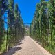 Generalife - Architektova zahrada Generalife - Architektova zahrada