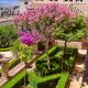 Generalife - Architektova zahrada Generalife - Architektova zahrada