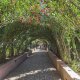 Generalife - Architektova zahrada Generalife - Architektova zahrada